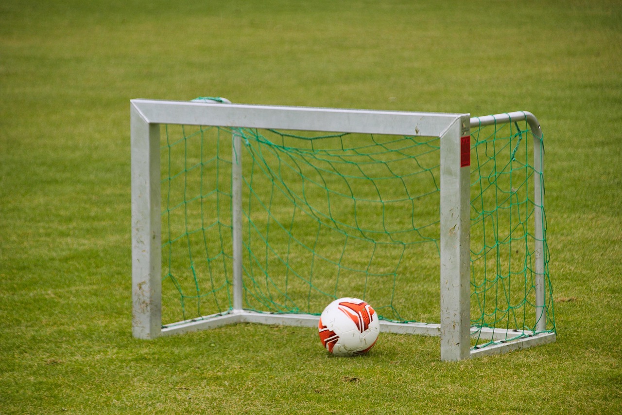 goal, training, football training, ball, football, soccer ball, soccer field, sport, soccer training, team sports, football field, ball game, goal, football training, ball, football, football, football, soccer field, soccer training, soccer training, soccer training, football field, football field, football field, football field, football field